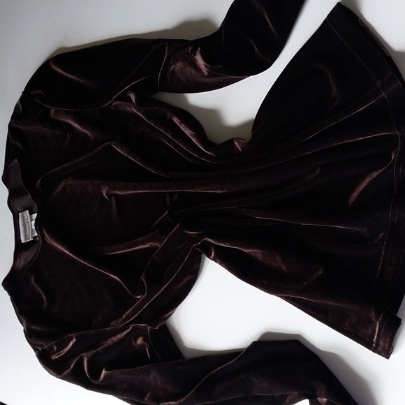 COLDWATER CREEK Brown Velvet Tunic Crew Neck Long Sleeve Top Size Large - Picture 3 of 16